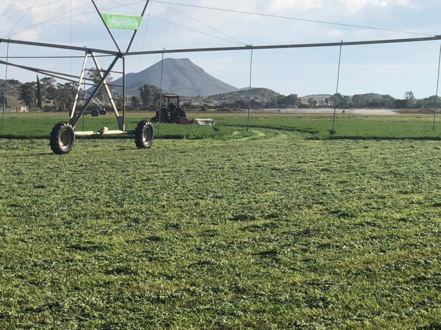 Commercial Property for Sale in Middelburg Rural Eastern Cape